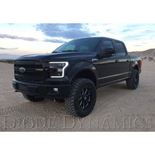 Load image into Gallery viewer, Diode Dynamics 15-17 Ford F-150/17-19 Ford Raptor Switchback LED Boards