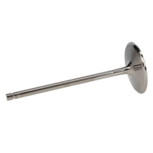 Load image into Gallery viewer, Photo - out of package