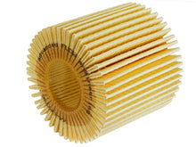Load image into Gallery viewer, afe PROGUARD Oil Filter aFe