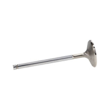 Load image into Gallery viewer, Photo - out of package