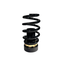 Load image into Gallery viewer, BLOX Racing 17+ Honda Civic SI Plus Series Fully Adjustable Coilovers 17+ Honda Civic Hatchback 52mm Coilovers BLOX Racing