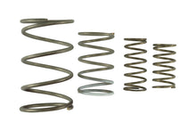 Load image into Gallery viewer, Turbosmart Gen V WG60 Spring Replacement Kit Wastegate Springs Turbosmart