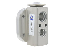 Load image into Gallery viewer, ACM DDWP_0151.0031 ACM A/C Expansion Valve 0151.0031