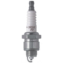 Load image into Gallery viewer, Photo - Primary