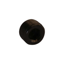 Load image into Gallery viewer, Aeromotive AER15729 Aeromotive Fitting - Plug - 3/8in NPT