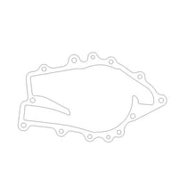 Load image into Gallery viewer, Photo - Primary