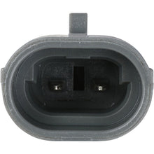 Load image into Gallery viewer, Photo - Close Up