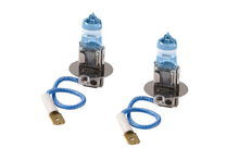 Load image into Gallery viewer, Putco Double White H3 - Pure Halogen HeadLight Bulbs Bulbs Putco