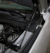 Load image into Gallery viewer, Photo - Unmounted