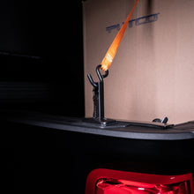 Load image into Gallery viewer, Photo - lifestyle view