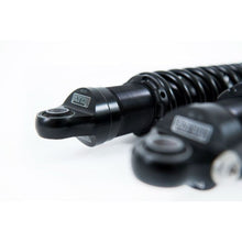 Load image into Gallery viewer, User 1