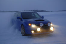 Load image into Gallery viewer, Photo - Mounted