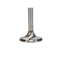 Load image into Gallery viewer, User 3