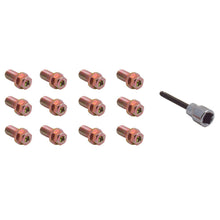 Load image into Gallery viewer, Spectre Header Bolts w/Tool - 3/4in. Hardware Kits - Other Spectre