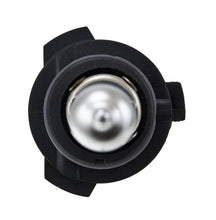 Load image into Gallery viewer, Photo - Close Up