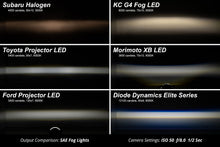 Load image into Gallery viewer, Diode Dynamics GBFG_DD5171P Diode Dynamics High-performance OEM-grade replacement with custom-engineered optics. DD5171P