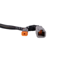 Load image into Gallery viewer, Diode Dynamics Light Accessories and Wiring Diode Dynamics SS5 Ultra Heavy Duty Terminating Splitter Harness (Single)