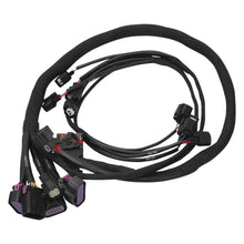 Load image into Gallery viewer, 036130_v4.jpg