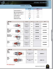 Load image into Gallery viewer, Earl's Performance Fuel Hose Fitting Earl's Performance -12 AN Male Socket with 1 1/16-12 JIC End Fitting; Viton Seals JV280112ERL