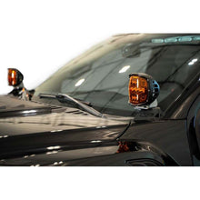 Load image into Gallery viewer, Photo - Close Up