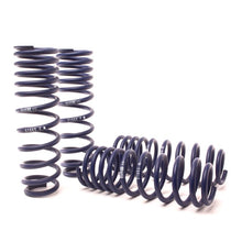 Load image into Gallery viewer, H&R 96-00 Honda Civic Si 2/4 Door Sport Spring