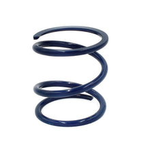 Load image into Gallery viewer, EPI Clutch Rebuild Kits EPI 24+ Polaris RZR XP 1000/ Xpedition XP/ADV Primary Clutch Spring Dark Blue