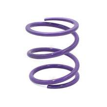 Load image into Gallery viewer, EPI Clutch Rebuild Kits EPI 24+ Polaris RZR XP 1000/ Xpedition XP/ADV Primary Clutch Spring Purple
