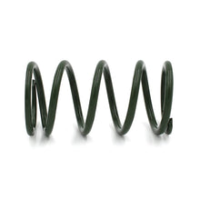 Load image into Gallery viewer, EPI Clutch Rebuild Kits EPI 24+ Polaris RZR XP/4 / Xpedition XP/ADV Secondary Clutch Spring Green