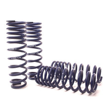 Load image into Gallery viewer, H&R 96-00 Honda Civic Si 2/4 Door Sport Spring