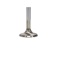 Load image into Gallery viewer, User 3