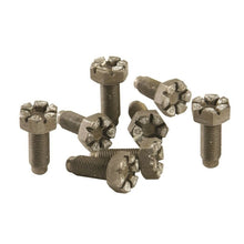 Load image into Gallery viewer, Ford Racing Hardware Kits - Other Ford Racing 4.6L Manual Flywheel Bolts