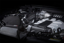 Load image into Gallery viewer, ms100128_011.jpg