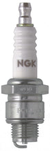 Load image into Gallery viewer, NGK NGK3212 NGK Standard Spark Plug Box of 10 (B-6L)