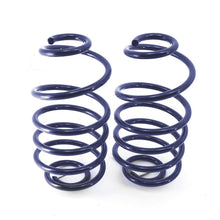 Load image into Gallery viewer, Ridetech RID11244799 Ridetech 68-72 GM A-Body StreetGRIP Dual-Rate Coil Springs Rear Pair