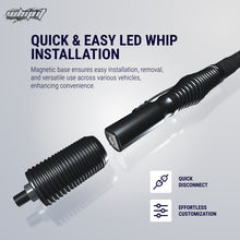 Load image into Gallery viewer, Whip It WHIMAG-CHSBTR-152 Whip It 5Ft Magnet Base w/ Spring Set