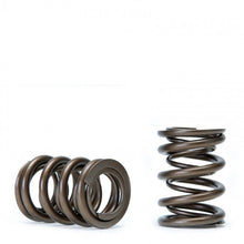 Load image into Gallery viewer, Skunk2 Tuner Series Honda/Acura (B16A/ B17A/ B18C) DOHC VTEC Alpha Valve Spring Set (Dual Springs) Valve Springs, Retainers Skunk2 Racing