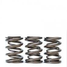 Load image into Gallery viewer, Skunk2 Tuner Series Honda/Acura (H22A/F20B) DOHC VTEC Alpha Valve Spring Set (Dual Springs) Valve Springs, Retainers Skunk2 Racing