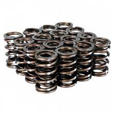 Load image into Gallery viewer, Skunk2 Pro Series Honda/Acura K-Series i-VTEC XP Valve Spring Set (Dual Springs) Valve Springs, Retainers Skunk2 Racing