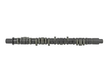 Load image into Gallery viewer, Skunk2 Tuner Series D-Series Honda Stage 2 Camshaft Camshafts Skunk2 Racing