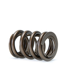 Load image into Gallery viewer, Skunk2 Tuner Series Honda/Acura (H22A/F20B) DOHC VTEC Alpha Valve Spring Set (Dual Springs) Valve Springs, Retainers Skunk2 Racing