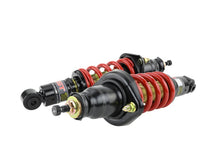 Load image into Gallery viewer, Skunk2 01-05 Honda Civic / 01-05 Acura Integra Pro-ST Coilovers (Front 10 kg/mm - Rear 10 kg/mm) Coilovers Skunk2 Racing