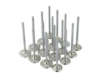 Load image into Gallery viewer, Skunk2 Alpha Series Honda/Acura Stock Size B Series VTEC Valve (Standard Compression) Valves Skunk2 Racing