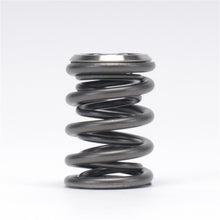 Load image into Gallery viewer, Skunk2 Alpha Series Honda/Acura B Series Valve Spring and Titanium Retainer Kit Valve Springs, Retainers Skunk2 Racing