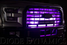 Load image into Gallery viewer, Diode Dynamics RGBW Grille Strip Kit 4pc Multicolor Light Strip LED Diode Dynamics