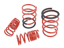Load image into Gallery viewer, Skunk2 05-06 Acura RSX Lowering Springs (2.25in - 2.00in.) (Set of 4) Lowering Springs Skunk2 Racing