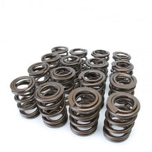 Load image into Gallery viewer, Skunk2 Tuner Series Honda/Acura (B16A/ B17A/ B18C) DOHC VTEC Alpha Valve Spring Set (Dual Springs) Valve Springs, Retainers Skunk2 Racing