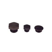 Load image into Gallery viewer, Aeromotive AN-10 O-Ring Boss Port Plug Fittings Aeromotive