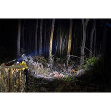Load image into Gallery viewer, ARB Pureview 800 Flashlight 800 Lumen Flashlight Apparel ARB