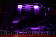 Load image into Gallery viewer, Diode Dynamics RGBW Engine Bay Strip Kit 2pc Multicolor Light Strip LED Diode Dynamics