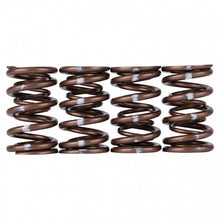 Load image into Gallery viewer, Skunk2 Pro Series Honda/Acura B-Series VTEC XP Valve Spring Set (Dual Springs) Valve Springs, Retainers Skunk2 Racing